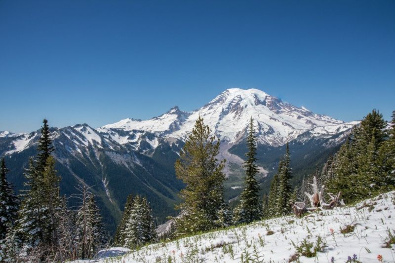 Rainier, WA